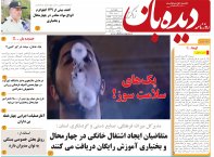 روزنامه دیده بان شماره 173