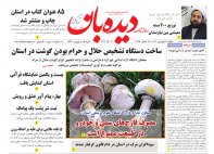 روزنامه  یکشنبه  19 فروردین  شماره  1623
